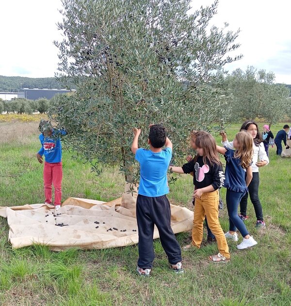 20241112_123055103_ios