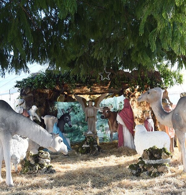 410293033_758487002980442_5549878975659999594_n