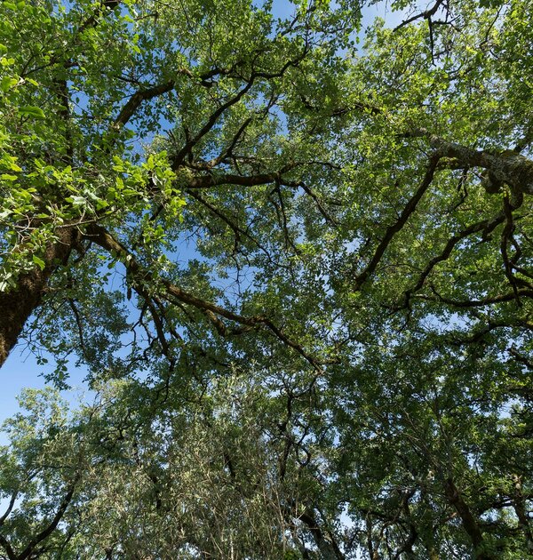 96833859_3454812261214136_3368495511123263488_n