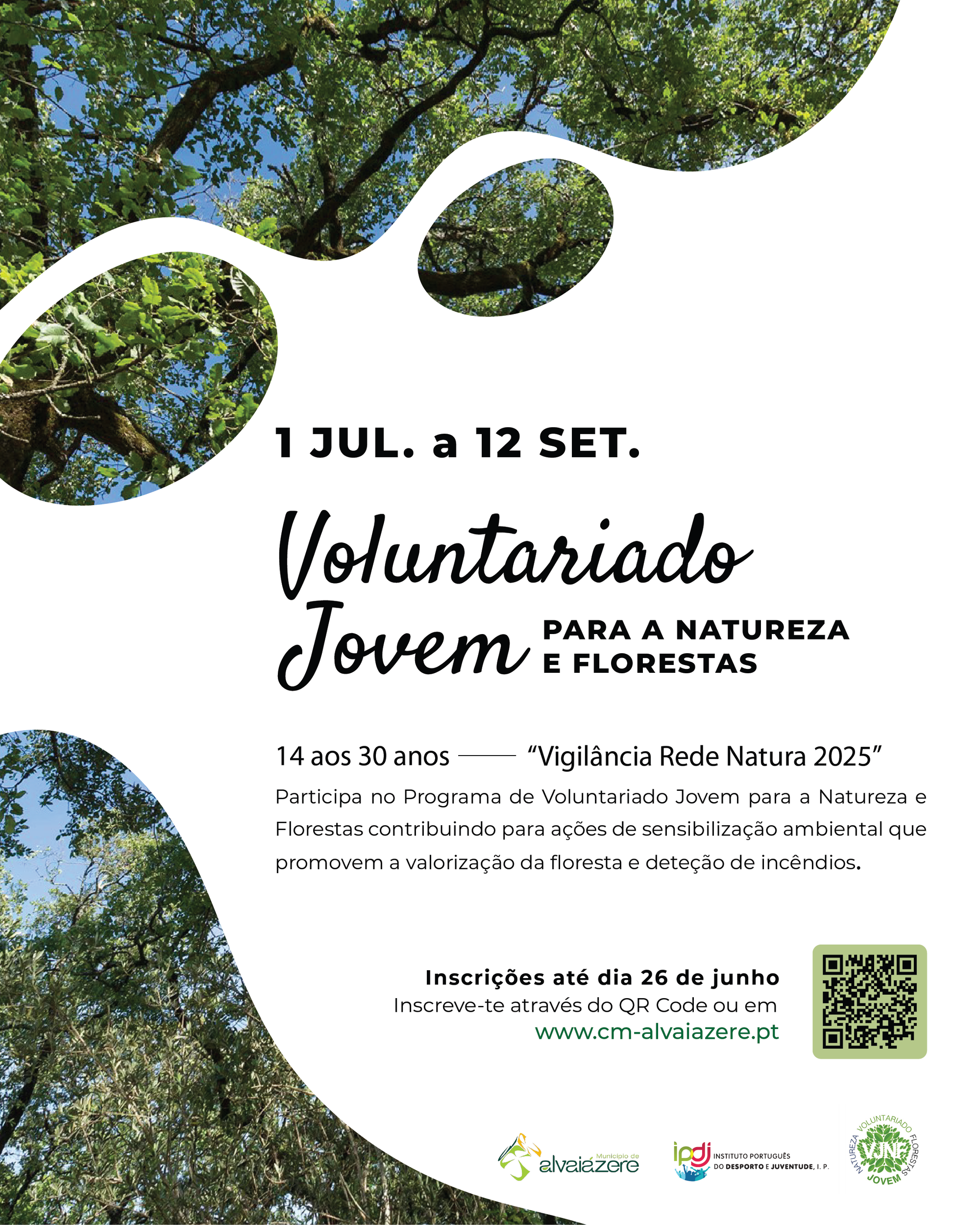 Programa de Voluntariado Jovem para a Natureza e Florestas