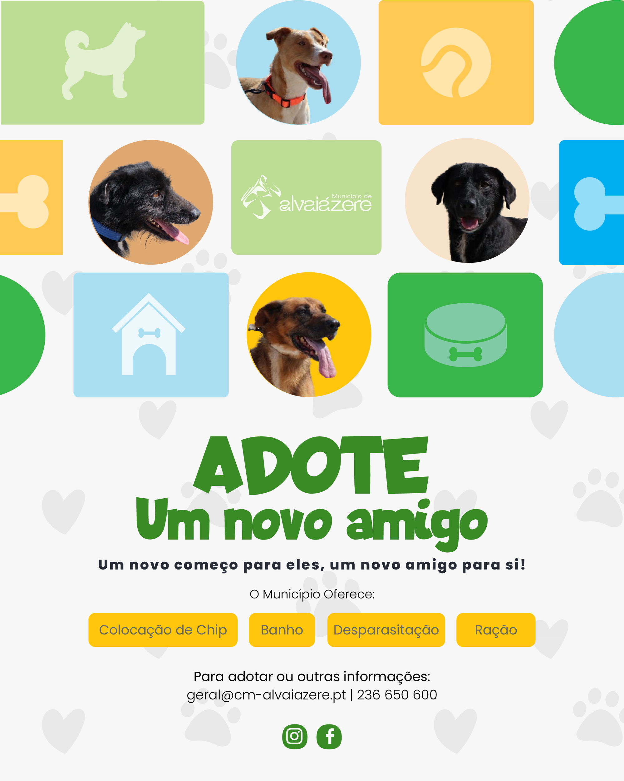 Um novo começo para eles. Um novo amigo para si!