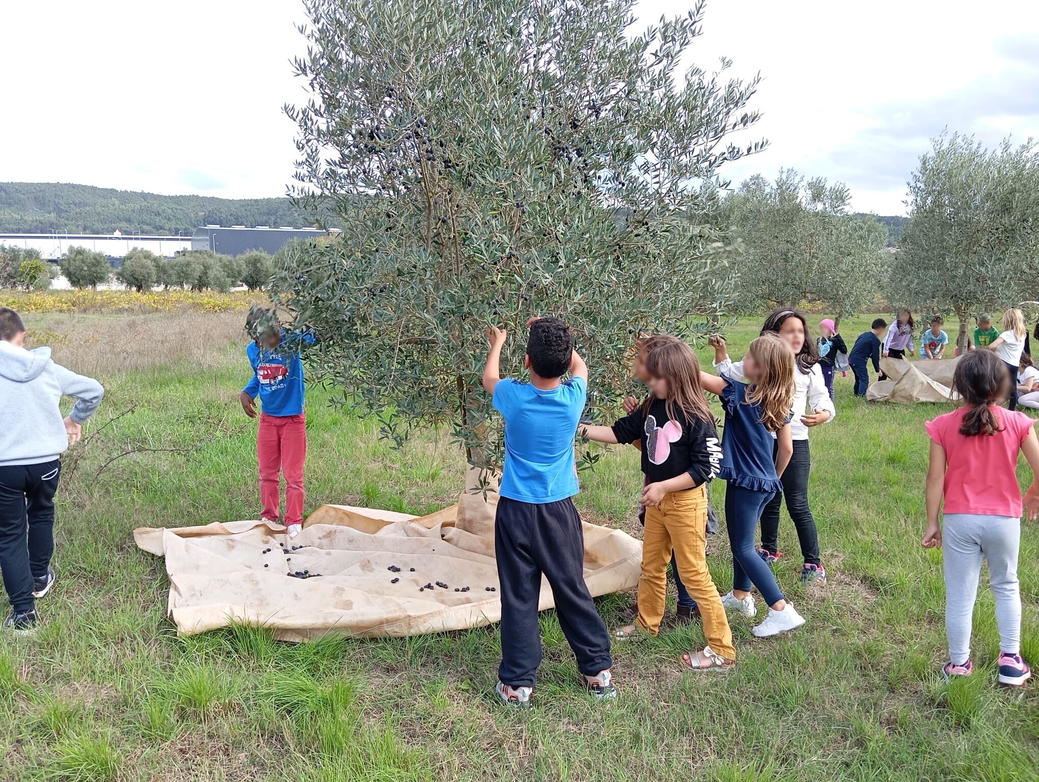 Atividades de Enriquecimento Curricular: Aprendizagens do Mês de Outubro