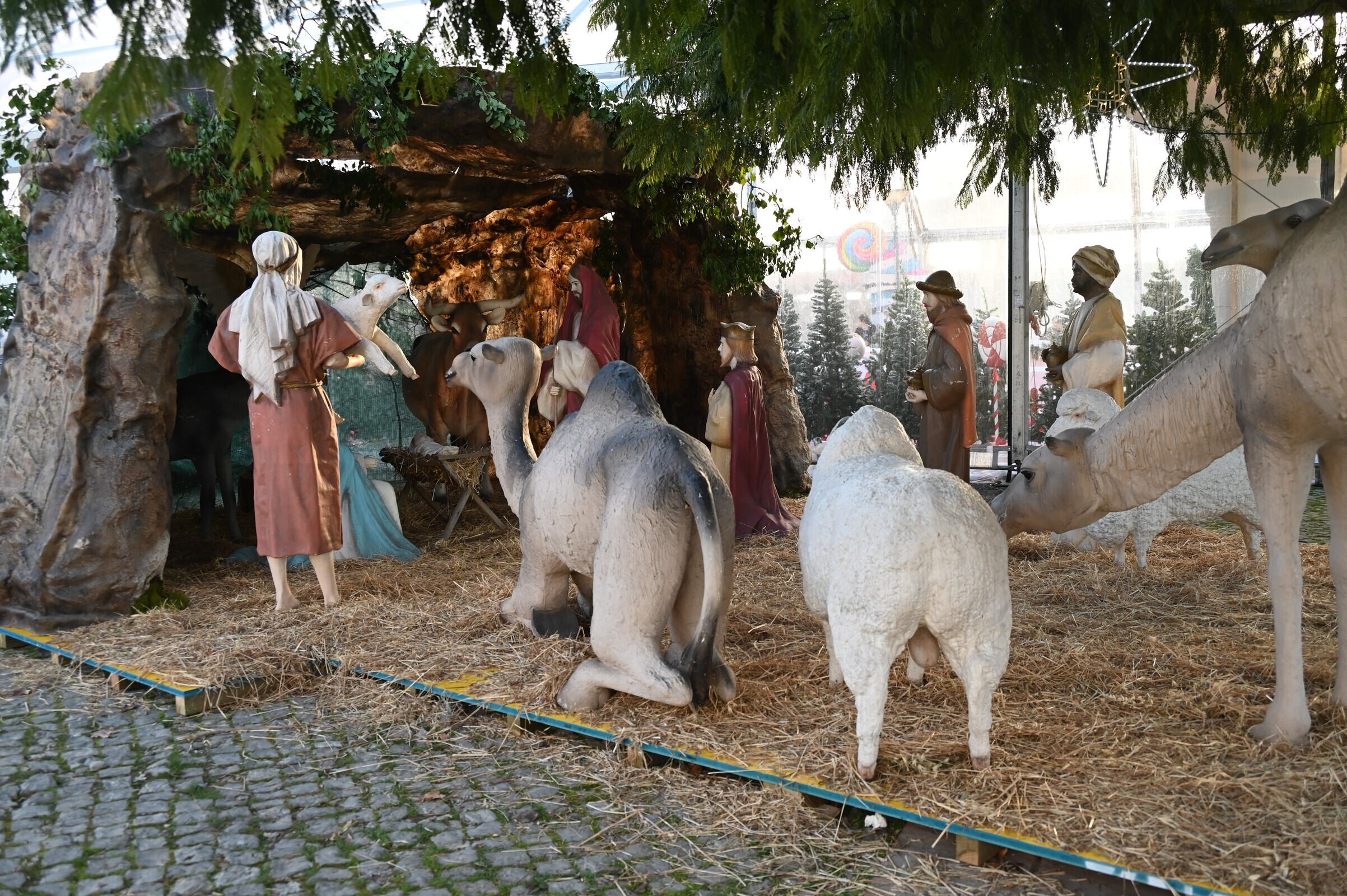 Concurso de "Portas de Natal" e Presépios integrado no Festival de Inverno do Concelho de Alvaiázere